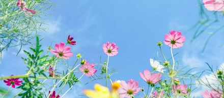 【記事のご紹介】2025年5月