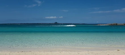 息子のサメ好きから見えてきた、プラスチックの青い海の話