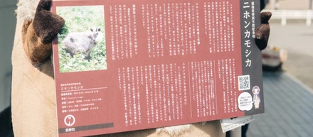歴史×観光×デザイン。三重県菰野町で実現した、“伝わる”動画と看板づくりの裏側