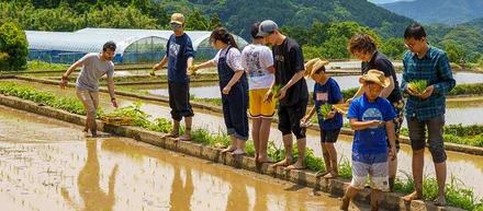 今年もこの季節がやってきた！ペンシル棚田の4度目の田植え