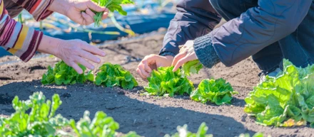 24歳(入社5か月)、商品をプロデュースする話。