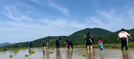 パソコンを置いて、田んぼへ。棚田オーナー活動の一日
