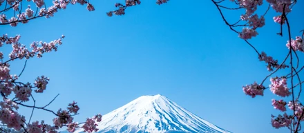 KubeCon + CloudNativeCon Japan 2025 参加速報 - Japan Community Day