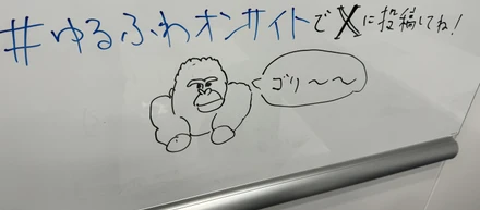 「ゆるふわ競技プログラミングオンサイト at FORCIA #8」を開催しました