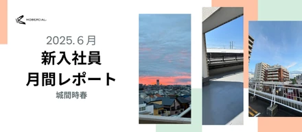 ３ヶ月目月報