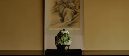 かき氷屋「toranoko」プロジェクト始動