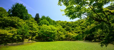誰かの“ちょっと助かる”を増やしたい。技術はそのための道具。
