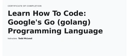 Go言語学習の道のり：基礎から最初の仕事へ