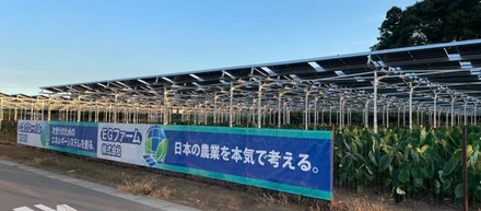 コスモエネルギーHDさんのグループ会社と長期オフサイトPPAを締結！ ～営農型太陽光発電の電力供給により、農業とエネルギーの共存で地域振興を実現～