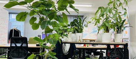 オフィス紹介✨信頼と安心の空間を作っています。