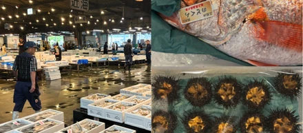 【市場訪問】宮城県・仙台市場に行ってきました！