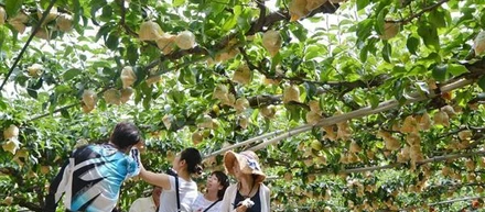産経新聞連載【魅力を発信する②】