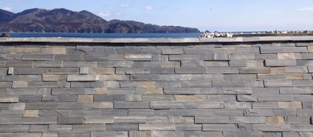 More Than A Recovery - Ishinomaki
