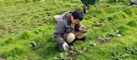 土から食卓へ―子どもと共に育つ学びと働き甲斐