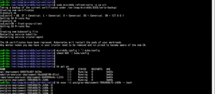 【トラブルシューティング】microk8sで「tls: failed to verify certificate」が発生した場合