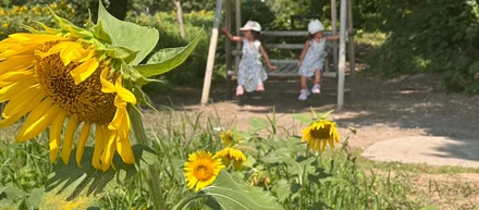 地方での暮らし