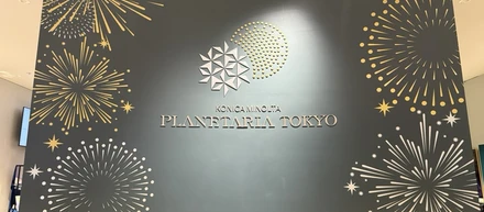 星空夏祭り🎐夏の終わりの花火🎆