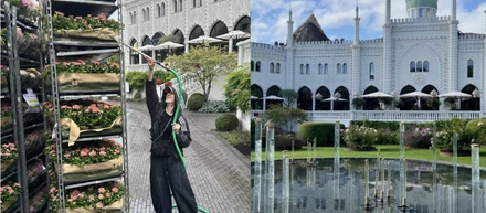 【世界に飛び出せ】デンマーク出張