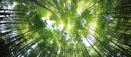 「経営者 環境力 大賞」受賞の裏側。私たちが大切にしていること。