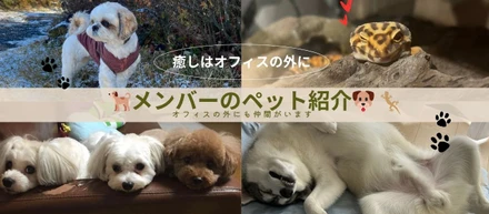 癒し担当はこの子たち！社員が自慢する可愛いペットたちのご紹介🐶