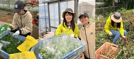 🌾オフィスを飛び出して、畑へ！初めての農業体験レポ