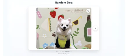 自作アプリでVuexに挑戦！リファクタリングで学ぶ状態管理の基礎＋localStorage対応