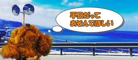 【UZUZ通信】ウズウズ働ける理由がある！有給取得率102%!?
