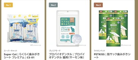 【2025年11月】マイベスト月間アワード　９月に引き続き２位獲得しました！