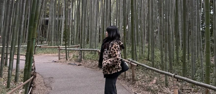 What working in Japan taught me about systems, communication, and “invisible frictions.”