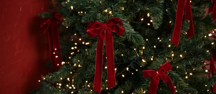 【社内交流】クリスマス気分の社内紹介🎄