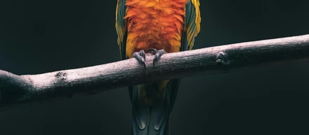 ヒトとどうぶつのより良い共存を目指して。
