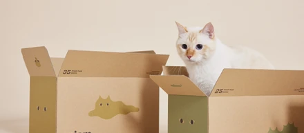 【代表対談】ANOBAKA・小田 紘生さん「ねこと生きるを、もっとユニークに── uniamが拓く“ねこの健康寿命”への挑戦」