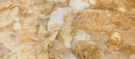 SCOBYの将来はいかに？？