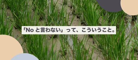「NOと言わない」って、こういうこと。