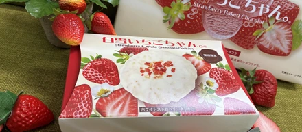 商品企画チームの​仕事│初めての​オリジナル商品が​ついに​完成！