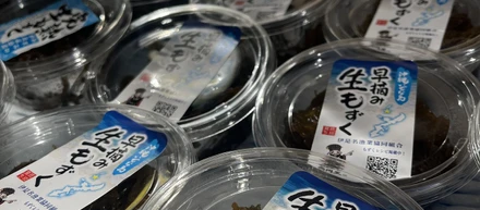 産地直送！生もずくの試食会を実施しました