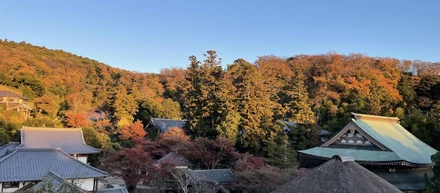 北鎌倉　紅葉
