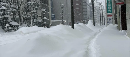 雪☃️