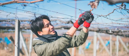 AI時代に、土と向き合う。東京から山梨・笛吹へ、葡萄栽培で若者の「いきがい」を育てる