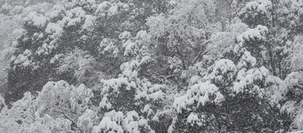 【出雲】初めての「雪ボケ」撮影に挑戦してみました
