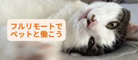 モフモフの愛猫・愛犬と一緒に働く100%フルリモートのWeLearnペット特集