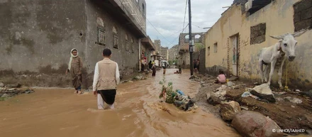 気候変動、異常気象から難民、国内避難民を守る