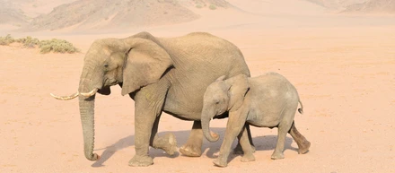 RDS/Aurora PostgreSQL のメジャーバージョンアップグレードを Blue/Green Deployment で行うメリットと注意点