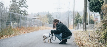 愛犬の死が教えてくれた、“選択肢を広げる”という仕事