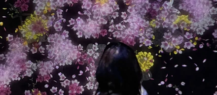 🌸 Spring in Japan Always Feels Like a Reset 🌸