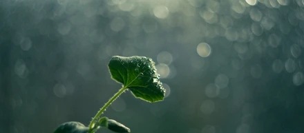 「徳」を積む仕事。——それは、自分自身の人生を一番に輝かせる方法