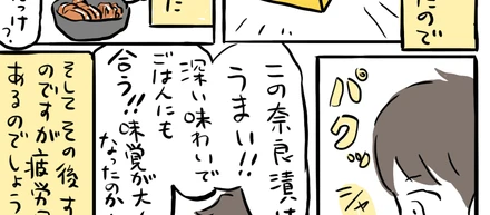 取手の奈良漬