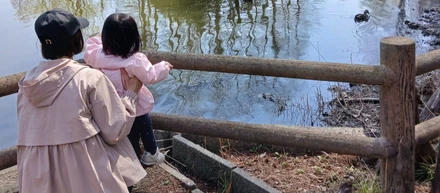 【日常】千葉で見つけた「未知の公園」探索記：平穏な散歩がホラー映画の導入部に？