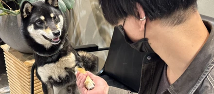 【社員紹介】タローが社員にインタビューしました！【現場管理新人・Sさん編】