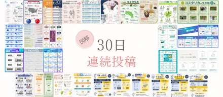 X図解３０日連続投稿
